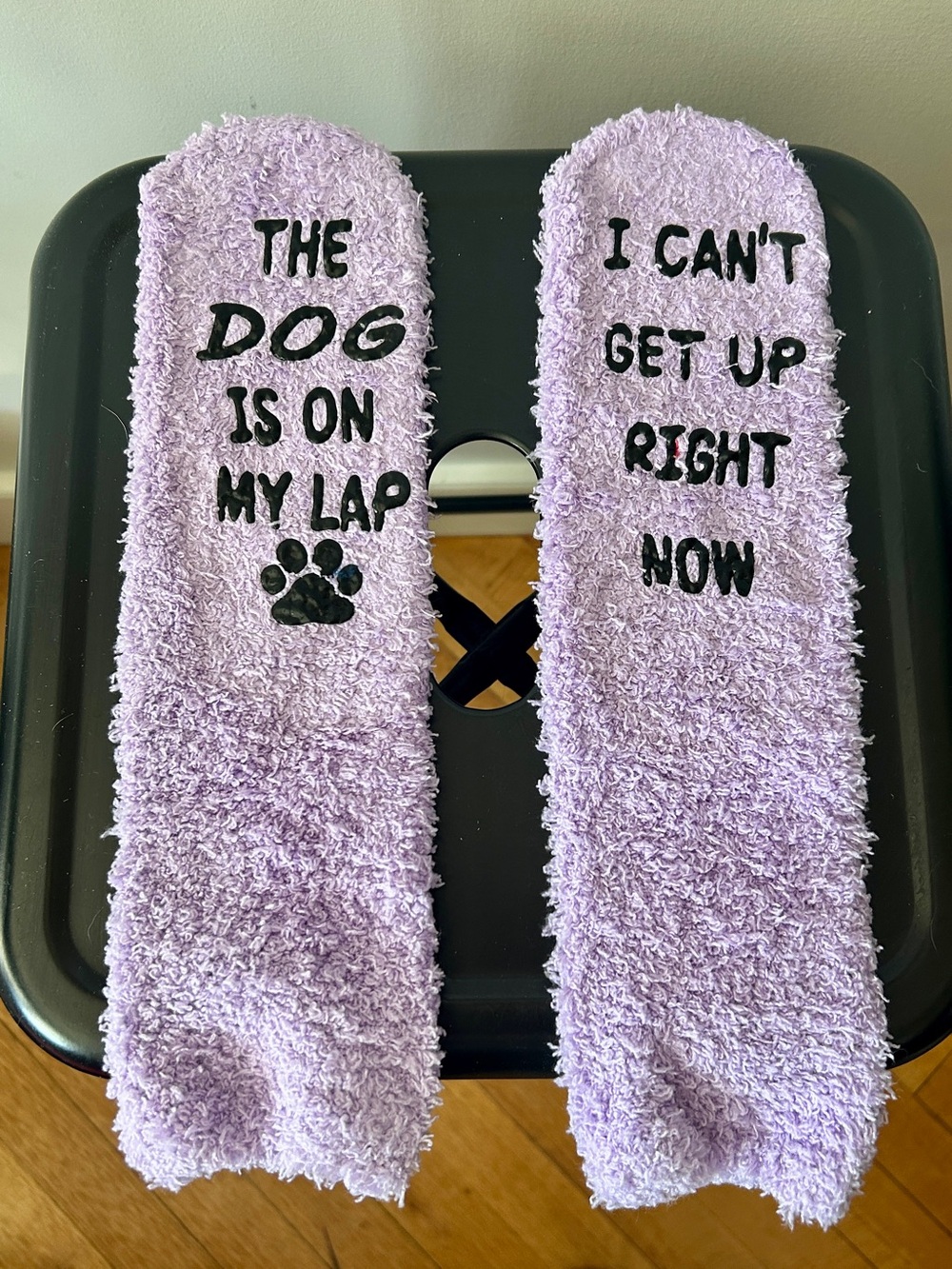 Lavender 'Dog on My Lap' Cozy Fuzzy Socks